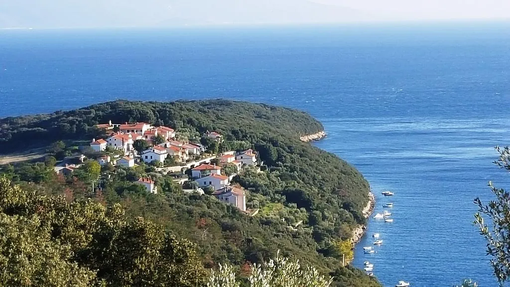 Apartments Alenka Labin